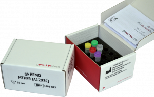 gb HEMO MTHFR (A1298C)